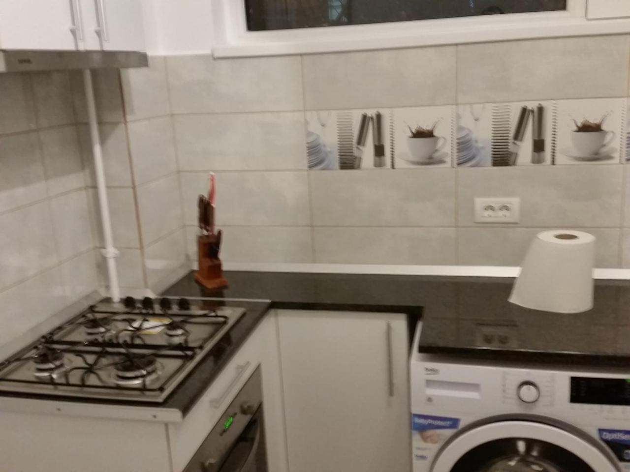 Grozavesti Near Politehnic Park Apartment